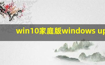 win10家庭版windows update